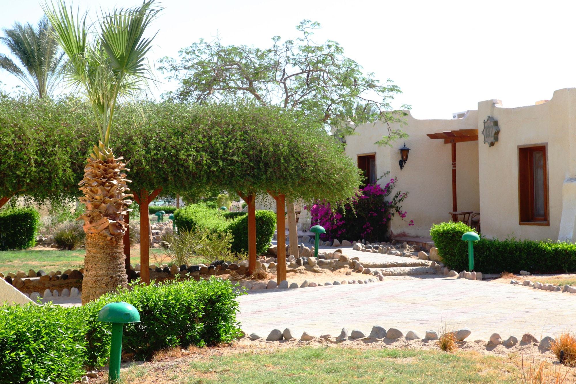 Magawish Swiss 4* Hurghada